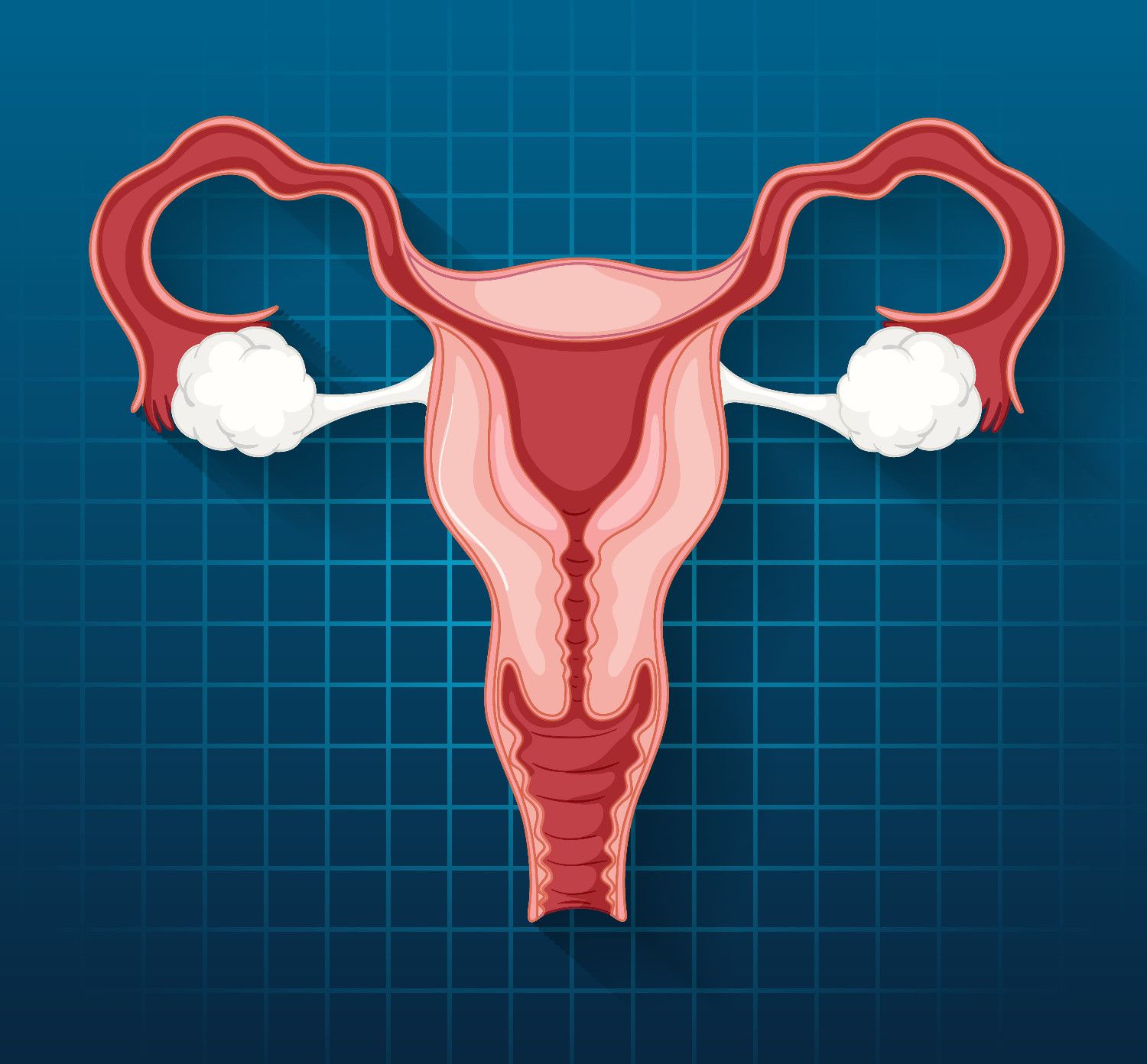 Hormonal Management Consultation