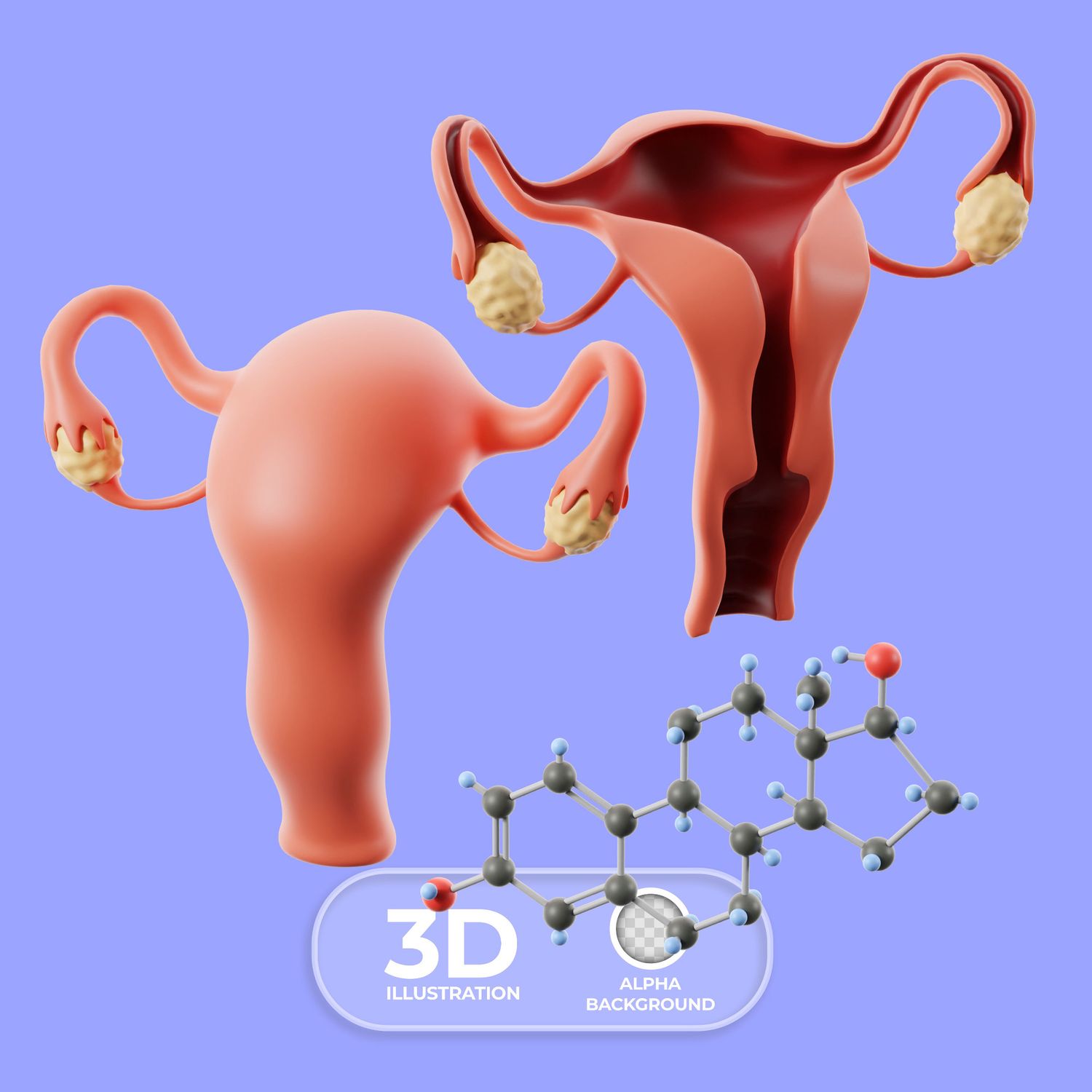 High-Risk Pregnancy Monitoring